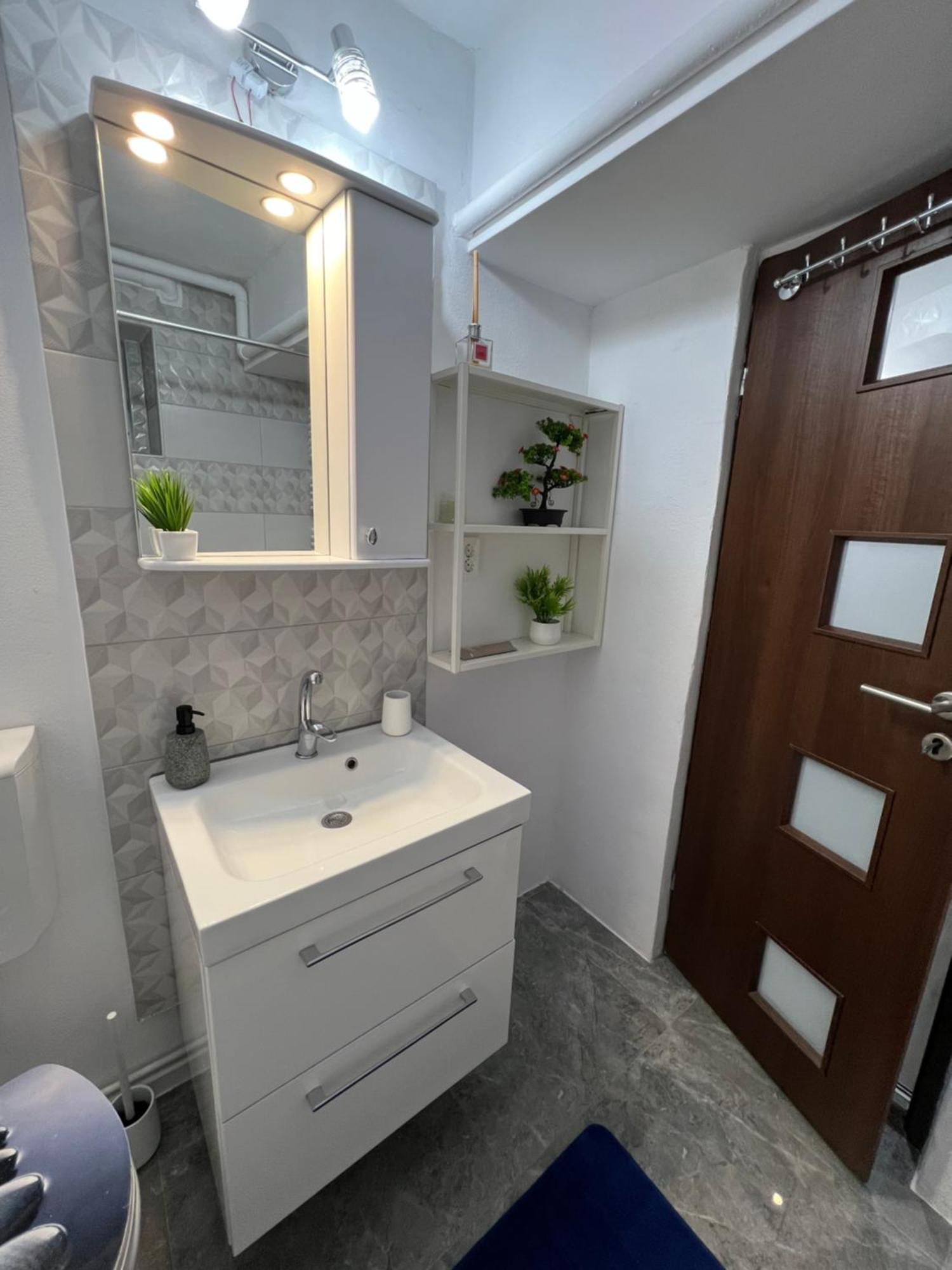 Studio Anca-Old Town Sibiu Dış mekan fotoğraf