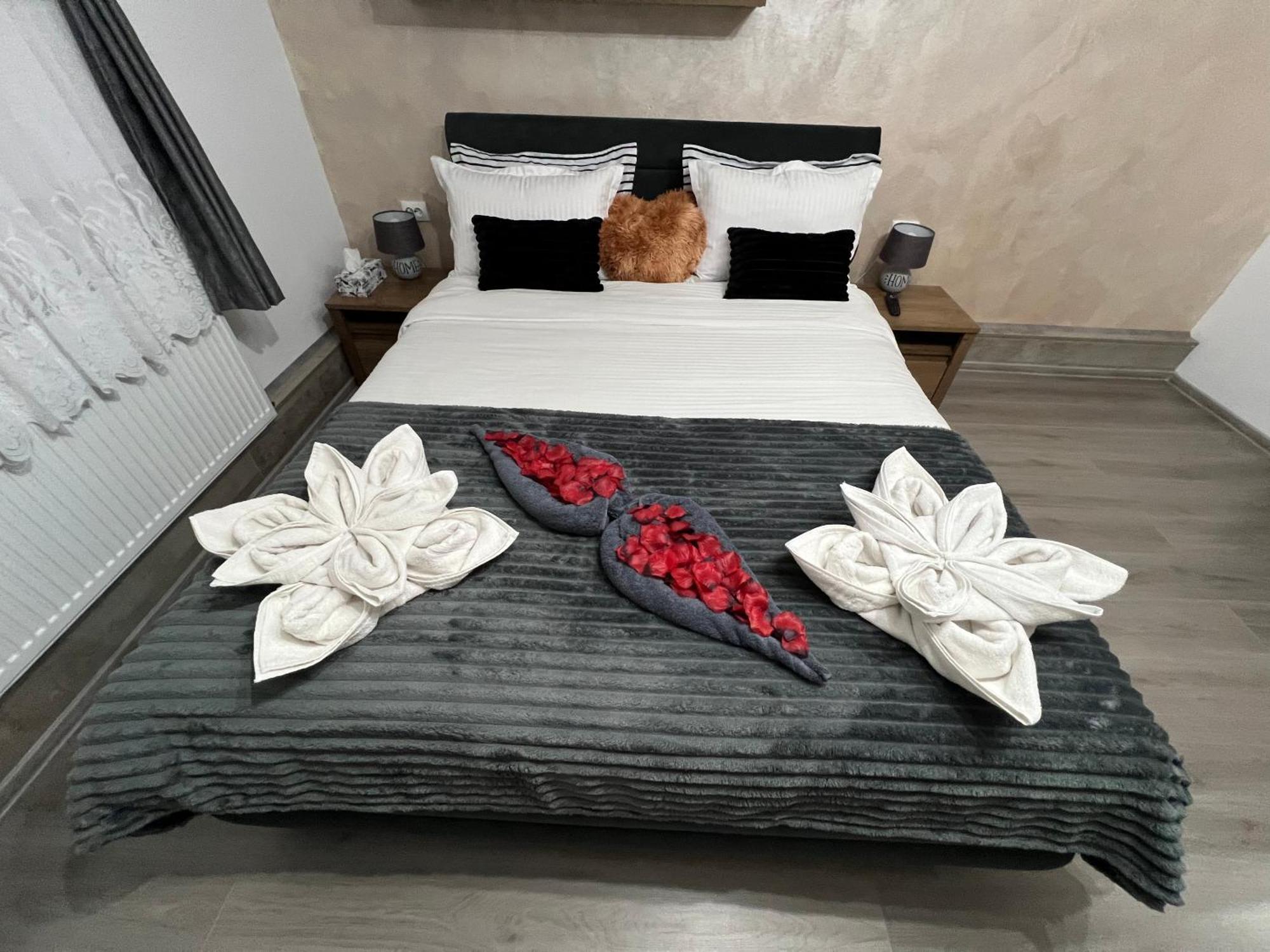 Studio Anca-Old Town Sibiu Dış mekan fotoğraf