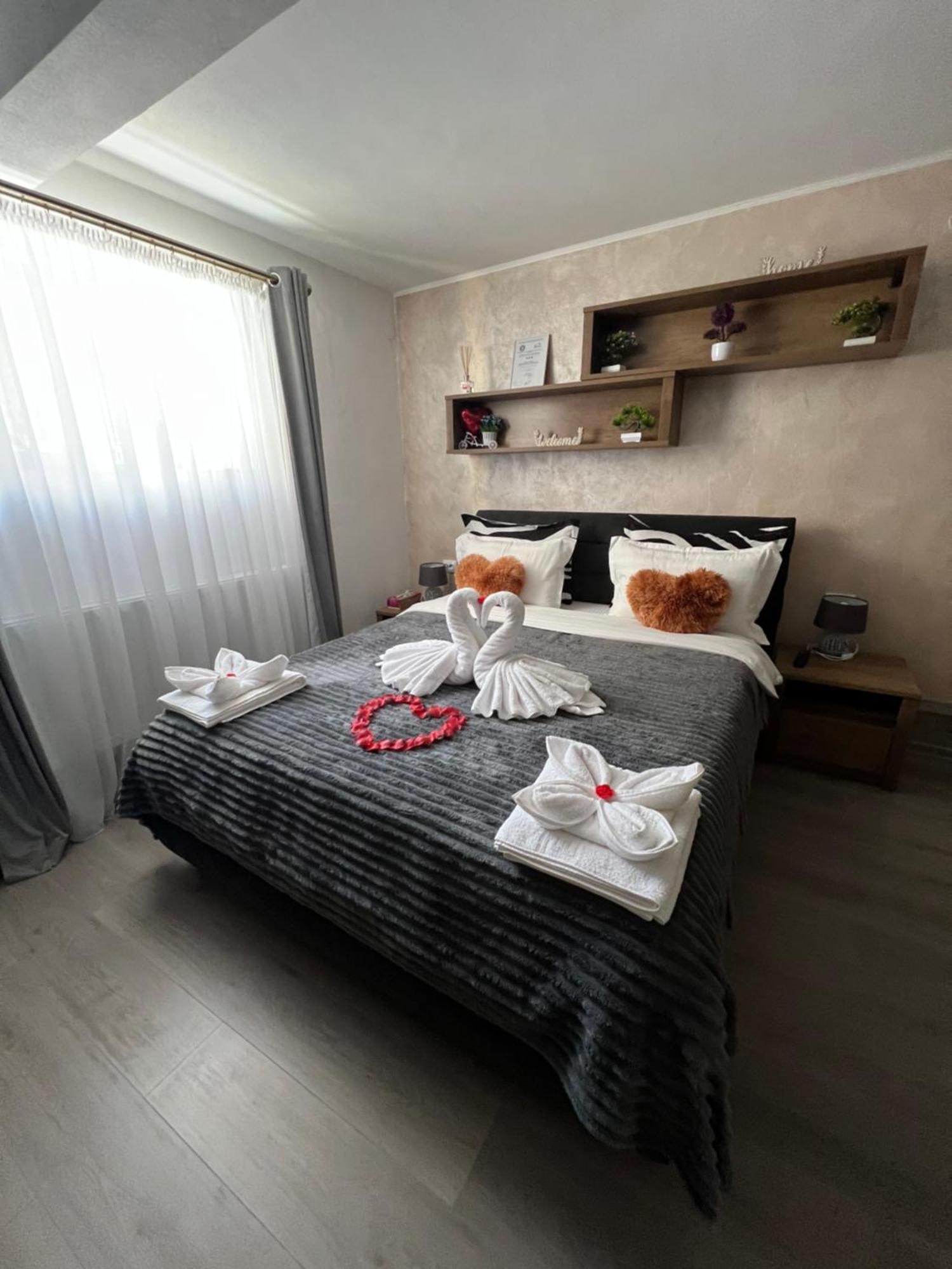 Studio Anca-Old Town Sibiu Dış mekan fotoğraf